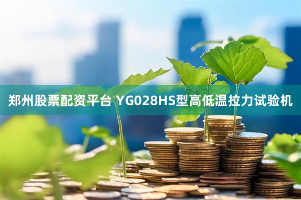 郑州股票配资平台 YG028HS型高低温拉力试验机